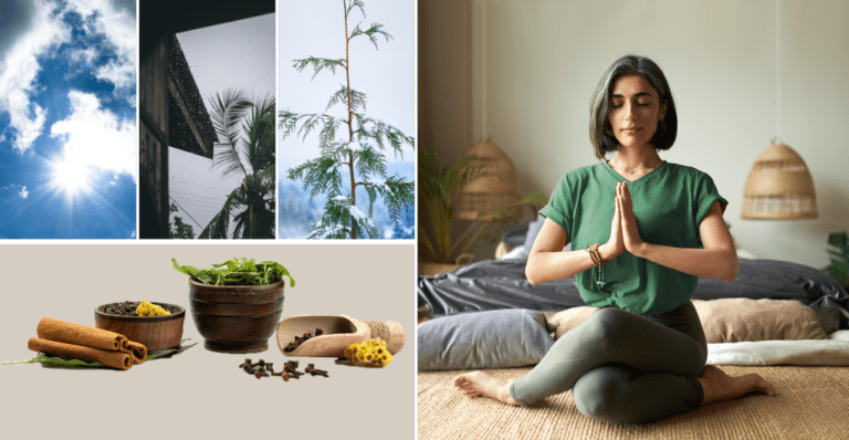 Rotina sazonal (Rutu Charya) em Ayurveda