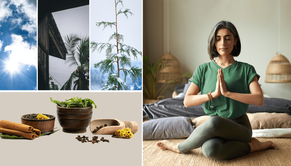 Rotina sazonal (Rutu Charya) em Ayurveda