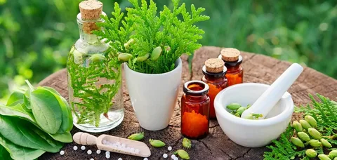Cozinha Ayurvédica para a Saúde: Nutrir Corpo, Mente e Espírito