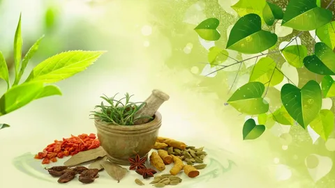 Aplicando Desenhos de Henna no Ayurveda: Arte, Tradição e Cura